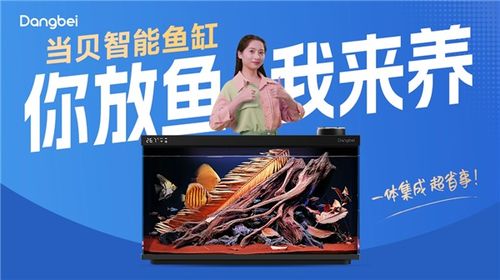 當貝智能魚缸創(chuàng)意廣告席卷北上廣深 多地強勢上線